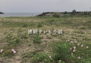 連続テレビ小説ミーム