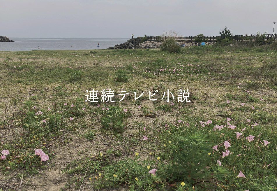 連続テレビ小説ミーム