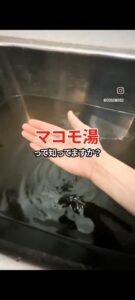 マコモ湯構文